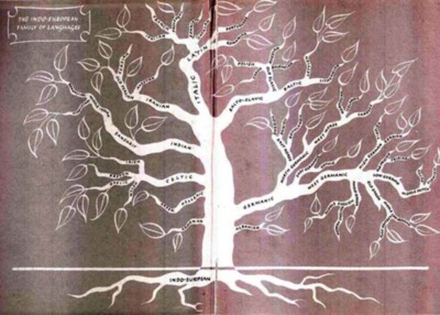 Non-Indo languages