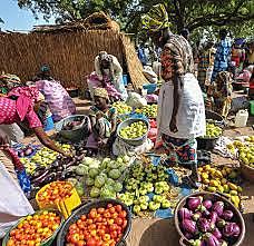 Se presenta el Plan Agrícola de Emergencia