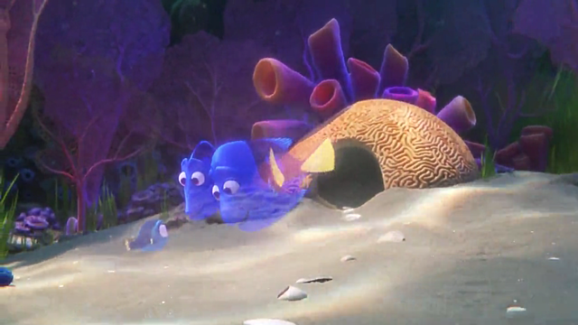 Dory ritrova il luogo dove è nata