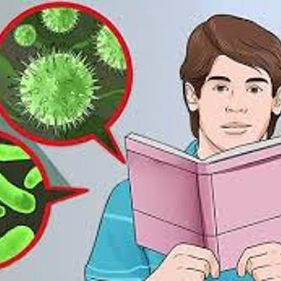 Timeline: პროექტი