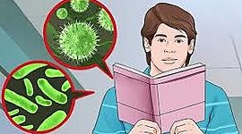 Timeline: პროექტი