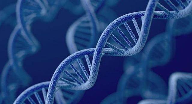 Mediados de a los fin del siglo XIX