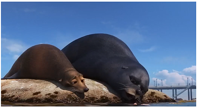 2Nemo e Marlin cercano Dory