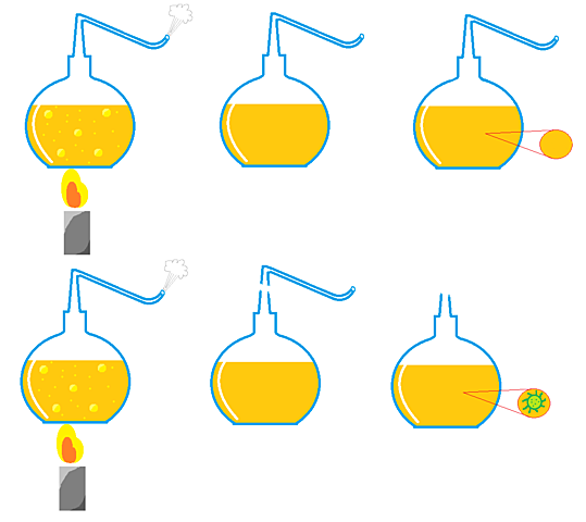 experimento louis pasteur