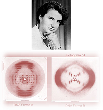 Rosalind Franklin