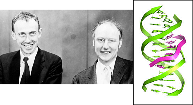 James Watson y Francis Crick