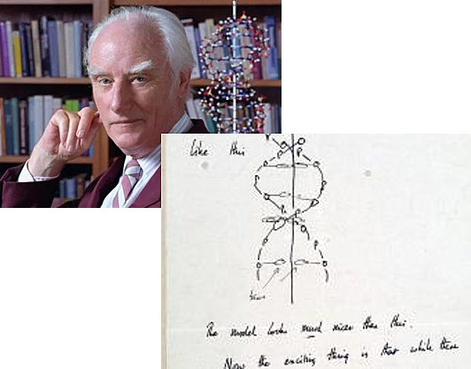 Subasta de la carta de Crick