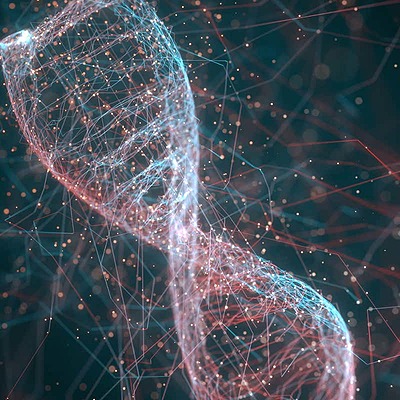 Timeline: Los principales descubrimientos sobre el DNA