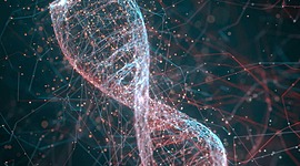 Timeline: Los principales descubrimientos sobre el DNA