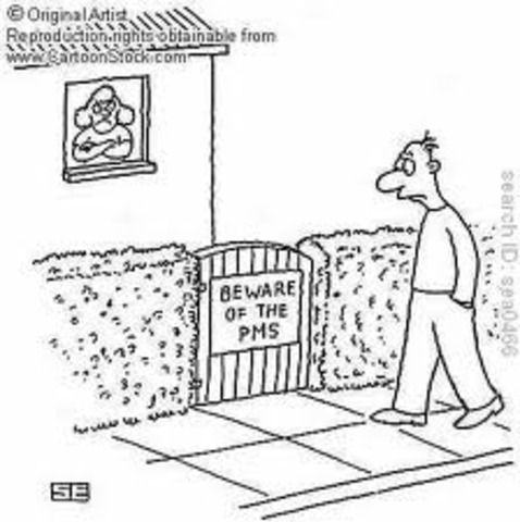 3.3 Imaginary Audience