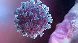 Timeline: Pandemias en el mundo a través de la historia