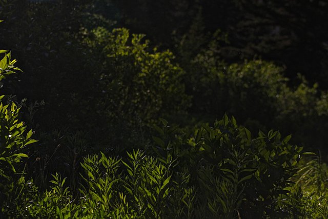 Lennie realizes that he's made a mistake and goes to his hiding space.