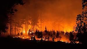 incendios forestales