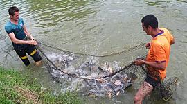 Timeline: HISTORIA DE LA PISCICULTURA