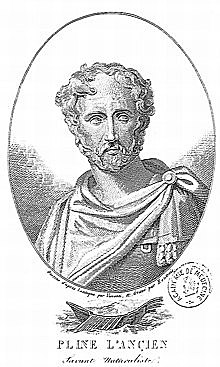Plinio el Viejo