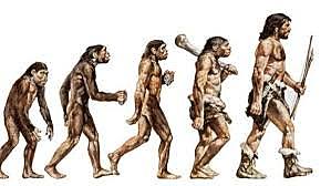 Evolución humana.