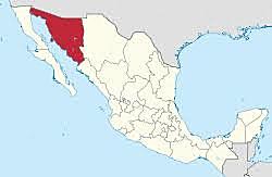 Los campesinos invaden tierras del latifundio Cananea en Sonora.