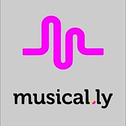 2014 Musical.ly