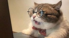 Timeline: Teoría económica en el contexto histórico