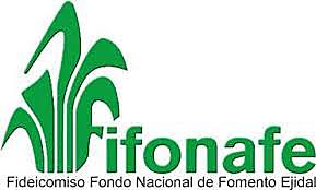 Se crea el Fideicomiso Nacional de Fomento Ejida