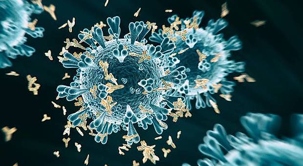 Coronavirus