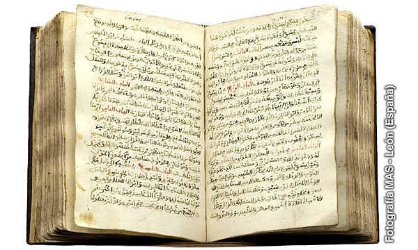 Bibeln översatt till latin