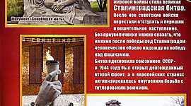 Timeline: Сталинградская битва