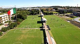 Timeline: Temas Arte Periodo III