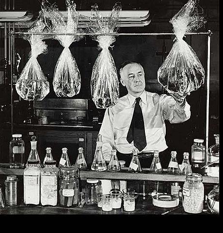 Sexto acontecimiento