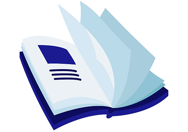 Rapport de l'inspection du travail