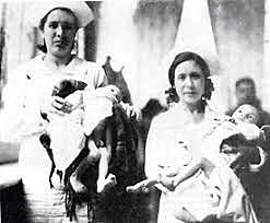 Campañas de Vacunación.