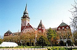 Első publikus írása: Egy sir