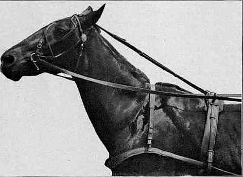 A strike for liberty