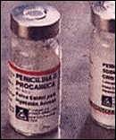 Edad Contemporánea Siglo XX Avance Científico. Penicilina