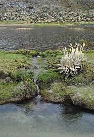 DECRETO 1983 DEL 2007