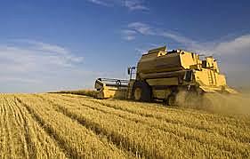 LEY 1152 DEL 2007 LEY DEL DESARROLLO RURAL