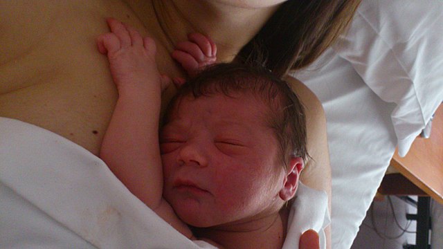 Naixement del meu germà