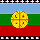 Bandera mapuche