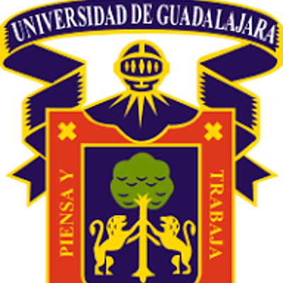 Timeline: la evolucion de la web