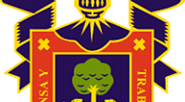 Timeline: la evolucion de la web