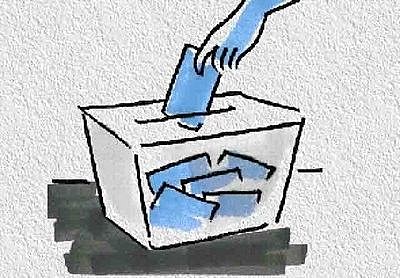 Ley Federal de Organizaciones Políticas y Procesos Electorales (LFOPPE).