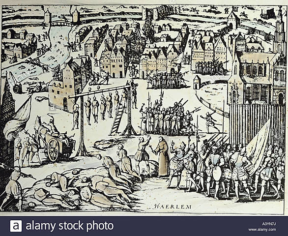 Utilidad de las palomas mensajeras