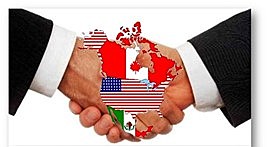 Entrada en vigor del TLCAN.