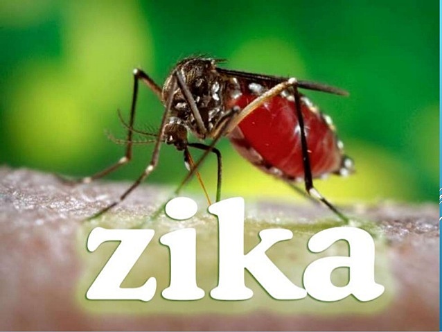 La OMS anuncia emergencia de salud pública de importancia internacional  el brote del virus Zika