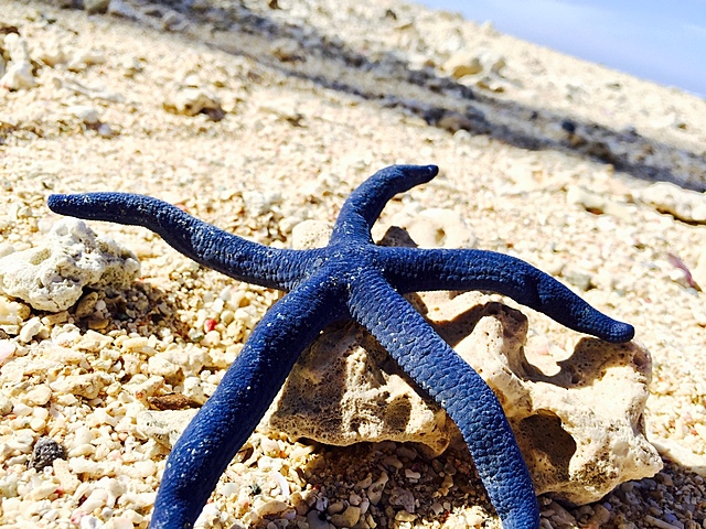 Term 2, week 11: 4th assignment due.