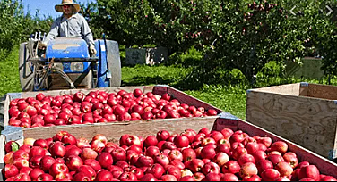 Importación de la agricultura.