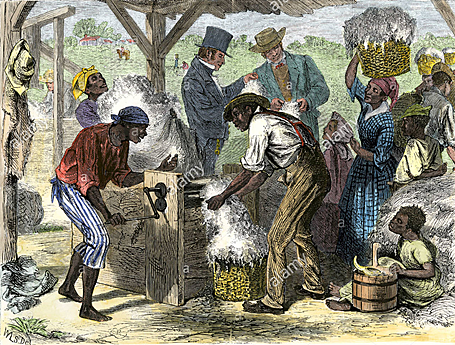 Cotton Gin by Eli Whitney