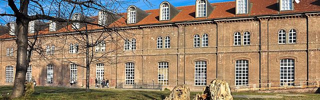 Iscrizione Istituto Albe Steiner