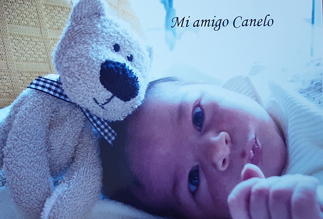 EL MEU DIA DE NAIXEMENT