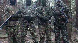 Timeline: IRA DISARMAMENT AND CEASEFIRE